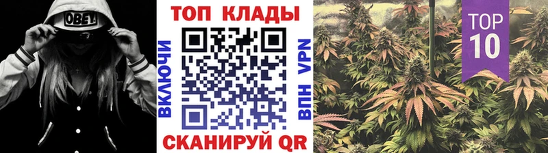 Codein Грязовец