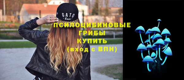 СК Балахна