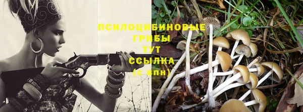 СК Балахна