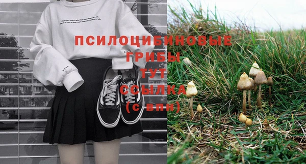 СК Балахна